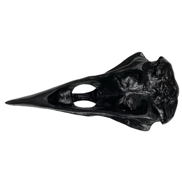 Black Resin Raven Skull Goth Halloween - Picture 7 of 7